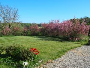 B&B / Chambres d'hotes les tamaris : photos des chambres