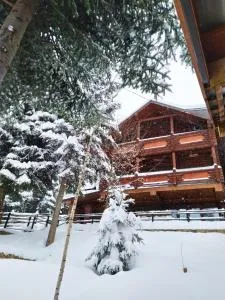 Шаленарозі - Berehomet