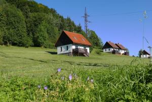 3 star vakantiehuis Green Valley Park Stárkov Tsjechië