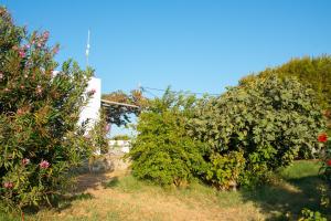 Themonia Sifnos Greece