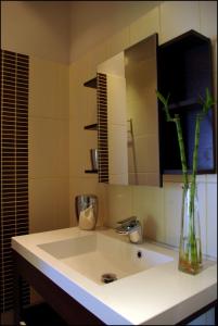 B&B / Chambres d'hotes Entre Mer et Vignes : photos des chambres