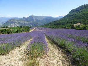 Maisons d'hotes Le Relais des Baronnies : photos des chambres