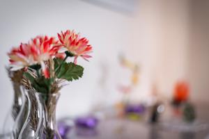 Appartements CityCosy-Strasbourg - Chic Oberlin Contades : photos des chambres