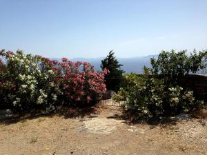 Kea Architect's villa Beyond Horizon Kea Greece