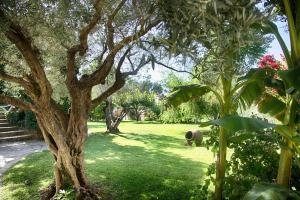 Maisons de vacances Gite les Cypres (Bastide Sainte Agnes) : photos des chambres