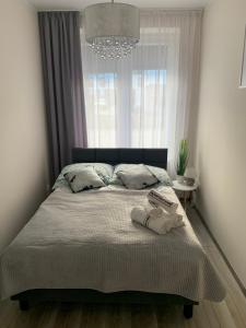 Apartament Walczaka 11 MIEJSCE PARKINGOWE