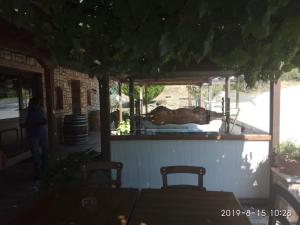 Guesthouse Kastania Orini-Korinthia Greece
