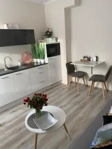 Apartament Walczaka 25 MIEJSCE PARKINGOWE - 乔左维尔考普尔斯基