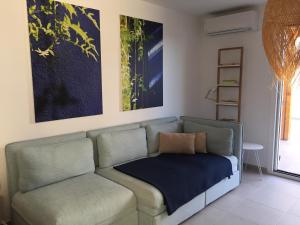 Appartements Domaine A Mortella T2 : photos des chambres