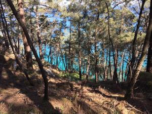 Appartements Une terrasse sur la mer : photos des chambres