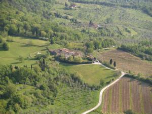 Agriturismo Podere il Palagio