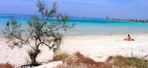 Appartamenti FRANCIS sul mare