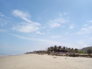 Los Pinos de Zorritos Condominio