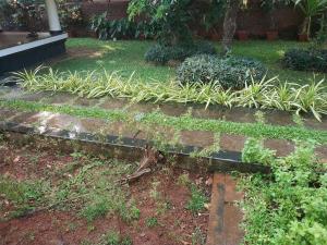 Kunnampath Heritage Nalukettu