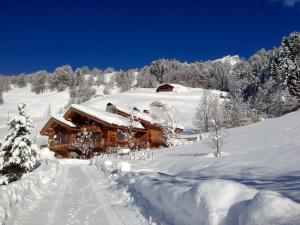 Chalet La Vigogne - Spa & Hammam - 14 pers