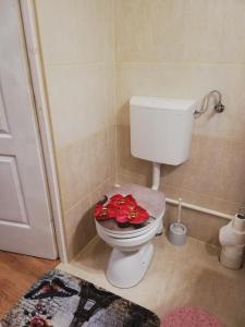 Örökzöld Apartman Szeged