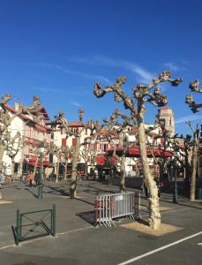 Appartements Saint-Jean-de-Luz-location 2 minutes a pieds de la plage : photos des chambres