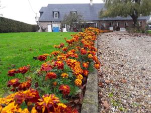 B&B / Chambres d'hotes La Cle de Saule : photos des chambres