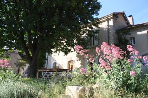 Maisons de vacances Domaine Fontaine : photos des chambres