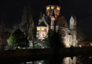 Appartements L'appart Moulin des Thermes Metz : photos des chambres