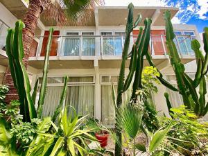 Hotel Puerto Chinchorro