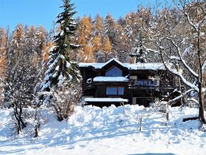 B&B / Chambres d'hotes La Sauvagine B&B Skis aux pieds : photos des chambres