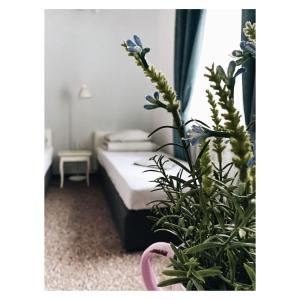 Budget Twin Room room in Pastel Guest Rooms