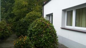 Hotel Hostel u Ewy Swarzedz Poľsko