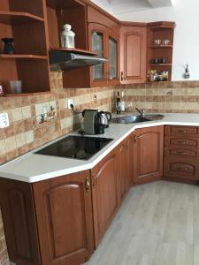 Apartman Harmonia Poděbrady 60m2