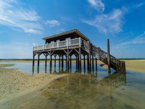 Maisons de vacances Charming Holiday Home in La Teste de Buch with Swimming Pool : photos des chambres