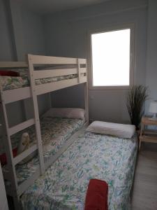 calandria las palmas