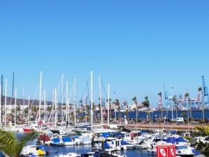 calandria las palmas