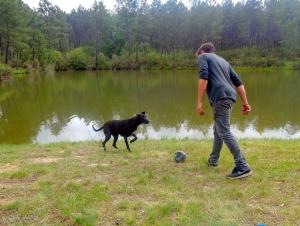 Chalets Cuckoo Lake Forest Cabin : photos des chambres