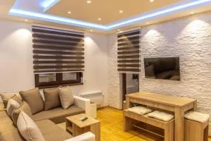 Apartments Mikic Zlatibor - 兹拉蒂博尔