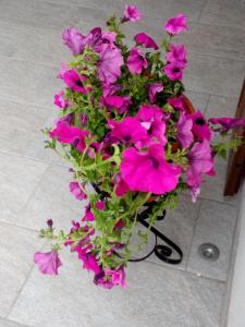 AGRITURISMO CORTE FONTANA