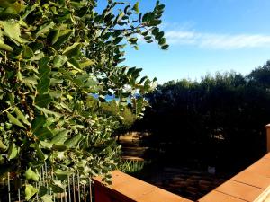 New Camping Coccorrocci img107