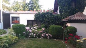 Matsureva House - Pri Ivan