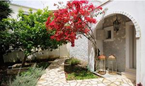 Anelina Paxos Residences (Elinas House) Paxoi Greece