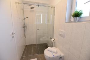 Apartman Basioli1