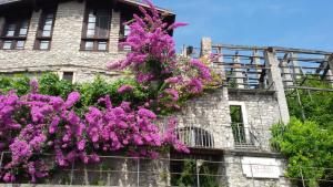 Hotel Garnì Bartabel img15