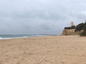 Relax y playa en la Barrosa