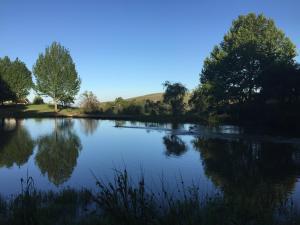 Drakensberg Dream, Champagne Valley