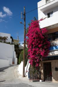 Anemospito Apartment Private Swimmingpool Sea view Rethymno Greece