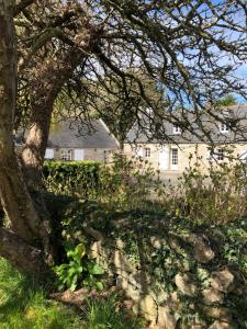 Maisons de vacances Haus unter bretonischem Horizont : photos des chambres