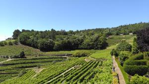 Quinta de Santa Júlia