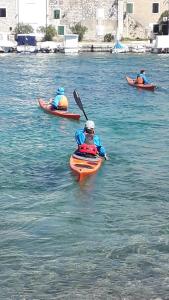 Apartment MASLINA 2 Zlarin Croatia