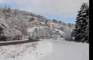 Chalets Chalet le Grizzly : photos des chambres