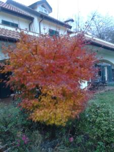 B&B Villa Paola