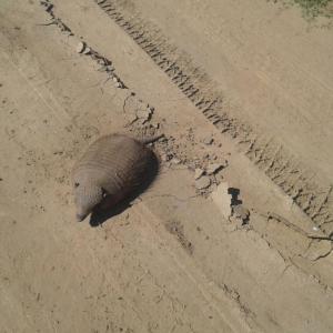 La Rosadita Casa de Campo