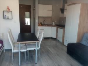 Apartament Kapitana przy plazy typu studio